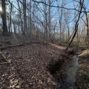 Photo #27 of SOLD property in Off Loundermon's Way, Pelham, NC 10.2 acres