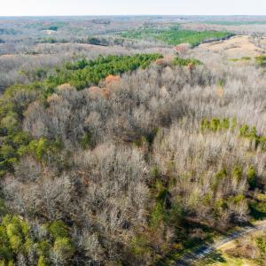 Photo #29 of SOLD property in Off Loundermon's Way, Pelham, NC 10.2 acres