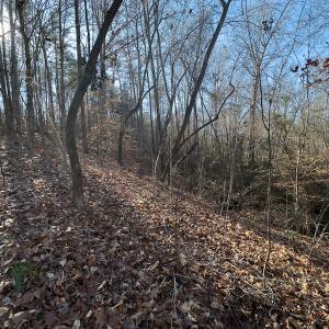 Photo #31 of SOLD property in Off Loundermon's Way, Pelham, NC 10.2 acres