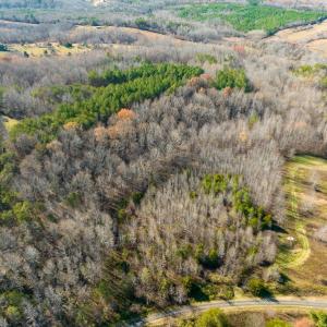 Photo #3 of SOLD property in Off Loundermon's Way, Pelham, NC 10.2 acres