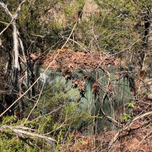 Photo #4 of SOLD property in Off Loundermon's Way, Pelham, NC 10.2 acres