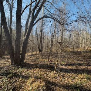 Photo #5 of SOLD property in Off Loundermon's Way, Pelham, NC 10.2 acres