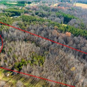 Photo #6 of SOLD property in Off Loundermon's Way, Pelham, NC 10.2 acres