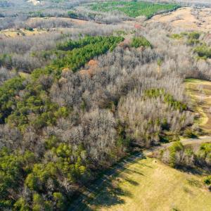 Photo #7 of SOLD property in Off Loundermon's Way, Pelham, NC 10.2 acres