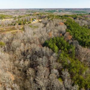 Photo #35 of SOLD property in Off Loundermon's Way, Pelham, NC 10.2 acres