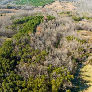 Photo #8 of SOLD property in Off Loundermon's Way, Pelham, NC 10.2 acres
