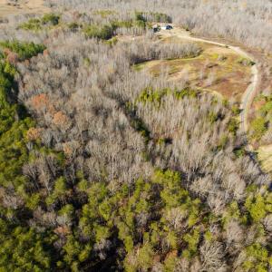 Photo #10 of SOLD property in Off Loundermon's Way, Pelham, NC 10.2 acres
