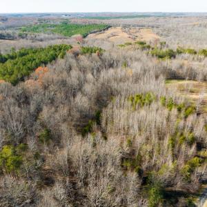Photo #12 of SOLD property in Off Loundermon's Way, Pelham, NC 10.2 acres