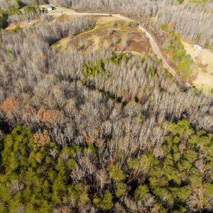 Photo #13 of SOLD property in Off Loundermon's Way, Pelham, NC 10.2 acres