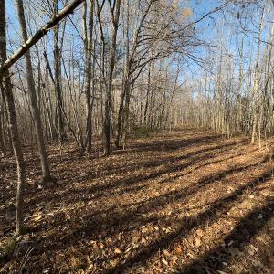 Photo #14 of SOLD property in Off Loundermon's Way, Pelham, NC 10.2 acres