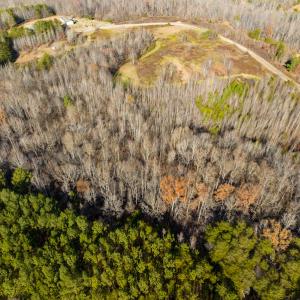 Photo #16 of SOLD property in Off Loundermon's Way, Pelham, NC 10.2 acres