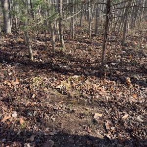 Photo #18 of SOLD property in Off Loundermon's Way, Pelham, NC 10.2 acres