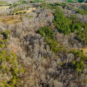 Photo #20 of SOLD property in Off Loundermon's Way, Pelham, NC 10.2 acres