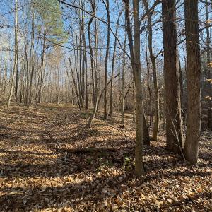 Photo #21 of SOLD property in Off Loundermon's Way, Pelham, NC 10.2 acres