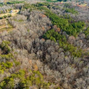 Photo #22 of SOLD property in Off Loundermon's Way, Pelham, NC 10.2 acres