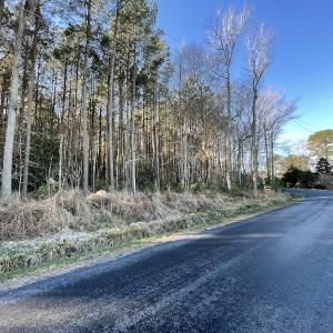 Photo #11 of SOLD property in Off Elmore Road, Painter, VA 30.5 acres