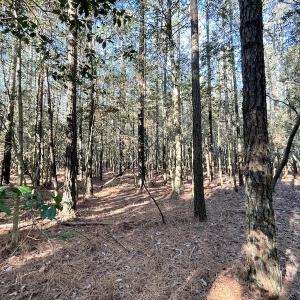 Photo #25 of SOLD property in Off Elmore Road, Painter, VA 30.5 acres