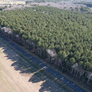 Photo #3 of SOLD property in Off Elmore Road, Painter, VA 30.5 acres
