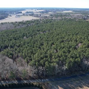 Photo #4 of SOLD property in Off Elmore Road, Painter, VA 30.5 acres