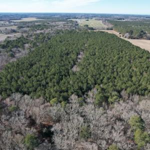 Photo #5 of SOLD property in Off Elmore Road, Painter, VA 30.5 acres