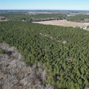 Photo #6 of SOLD property in Off Elmore Road, Painter, VA 30.5 acres