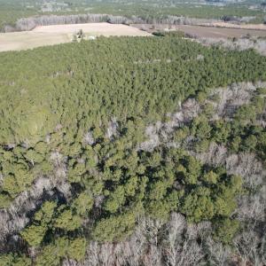 Photo #7 of SOLD property in Off Elmore Road, Painter, VA 30.5 acres