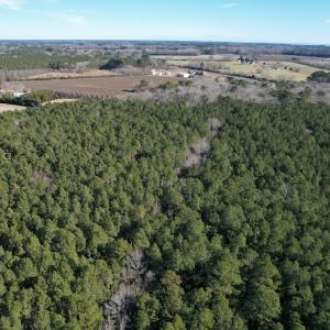 Photo #8 of SOLD property in Off Elmore Road, Painter, VA 30.5 acres