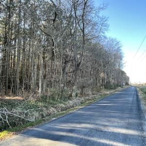 Photo #9 of SOLD property in Off Elmore Road, Painter, VA 30.5 acres