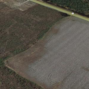 Photo #7 of SOLD property in 3979 Carolina Road, Suffolk, VA 16.6 acres