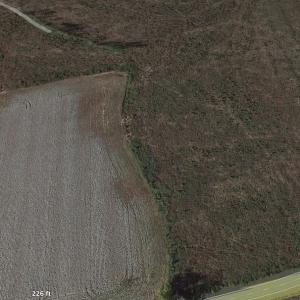 Photo #8 of SOLD property in 3979 Carolina Road, Suffolk, VA 16.6 acres