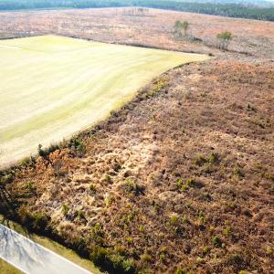 Photo #2 of SOLD property in 3979 Carolina Road, Suffolk, VA 16.6 acres