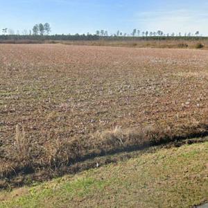 Photo #6 of SOLD property in 3979 Carolina Road, Suffolk, VA 16.6 acres