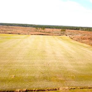 Photo #4 of SOLD property in 3983 Carolina Road, Suffolk, VA 19.0 acres