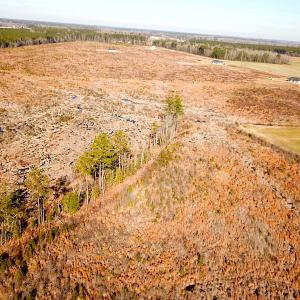 Photo #3 of SOLD property in 3983 Carolina Road, Suffolk, VA 19.0 acres