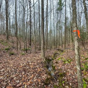 Photo #35 of SOLD property in Off Bowmantown Road, Roxboro, NC 49.5 acres