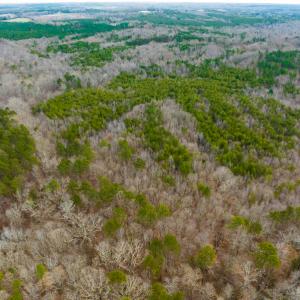 Photo #36 of SOLD property in Off Bowmantown Road, Roxboro, NC 49.5 acres