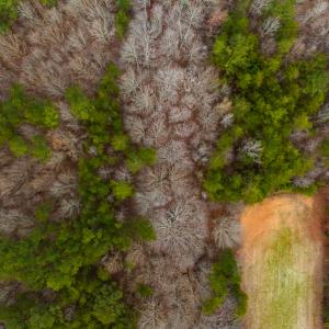 Photo #37 of SOLD property in Off Bowmantown Road, Roxboro, NC 49.5 acres