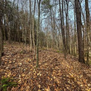 Photo #38 of SOLD property in Off Bowmantown Road, Roxboro, NC 49.5 acres