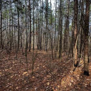 Photo #40 of SOLD property in Off Bowmantown Road, Roxboro, NC 49.5 acres
