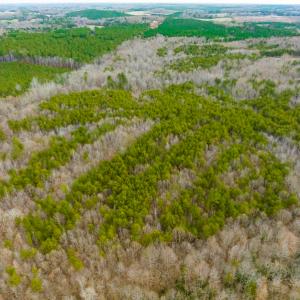 Photo #44 of SOLD property in Off Bowmantown Road, Roxboro, NC 49.5 acres