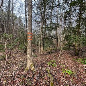 Photo #45 of SOLD property in Off Bowmantown Road, Roxboro, NC 49.5 acres