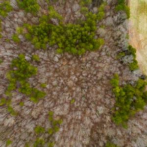 Photo #46 of SOLD property in Off Bowmantown Road, Roxboro, NC 49.5 acres