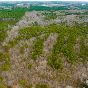 Photo #50 of SOLD property in Off Bowmantown Road, Roxboro, NC 49.5 acres