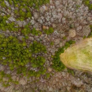 Photo #51 of SOLD property in Off Bowmantown Road, Roxboro, NC 49.5 acres