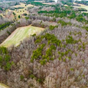 Photo #6 of SOLD property in Off Bowmantown Road, Roxboro, NC 49.5 acres