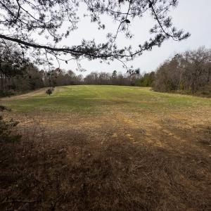 Photo #7 of SOLD property in Off Bowmantown Road, Roxboro, NC 49.5 acres