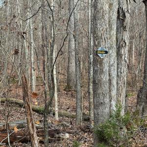 Photo #9 of SOLD property in Off Bowmantown Road, Roxboro, NC 49.5 acres