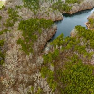 Photo #10 of SOLD property in Off Bowmantown Road, Roxboro, NC 49.5 acres