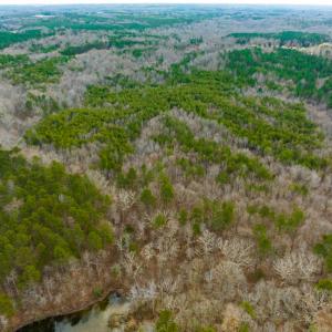 Photo #11 of SOLD property in Off Bowmantown Road, Roxboro, NC 49.5 acres