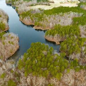 Photo #13 of SOLD property in Off Bowmantown Road, Roxboro, NC 49.5 acres